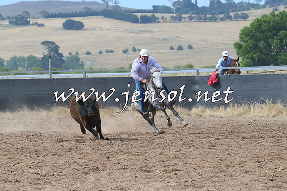 BraidwoodCampdraft2014_2236