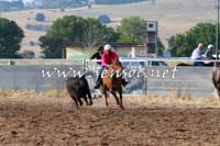 BraidwoodCampdraft2014_2030