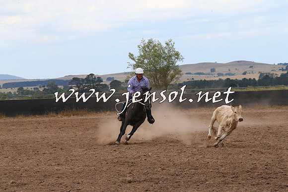 BraidwoodCampdraft2014_2243