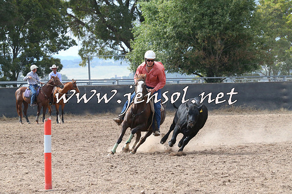BraidwoodCampdraft2014_2227