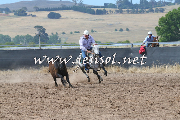 BraidwoodCampdraft2014_2237