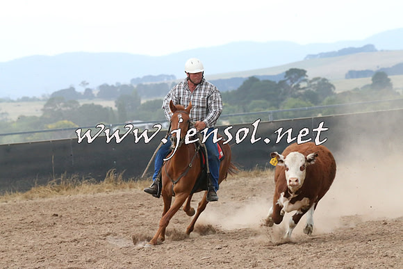 BraidwoodCampdraft2014_2342