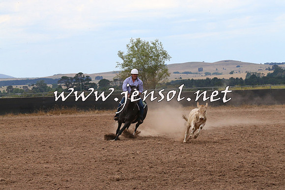 BraidwoodCampdraft2014_2245