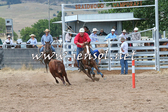 BraidwoodCampdraft2014_2289