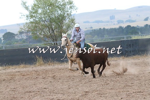 BraidwoodCampdraft2014_2350