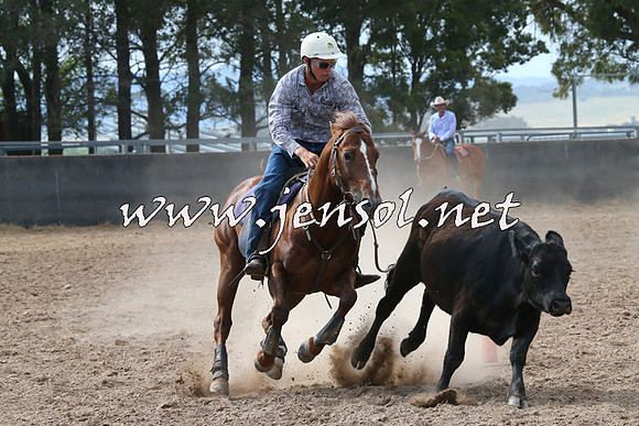 BraidwoodCampdraft2014_2210