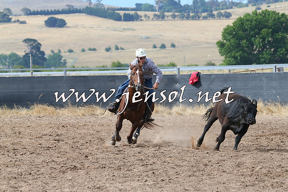 BraidwoodCampdraft2014_2197