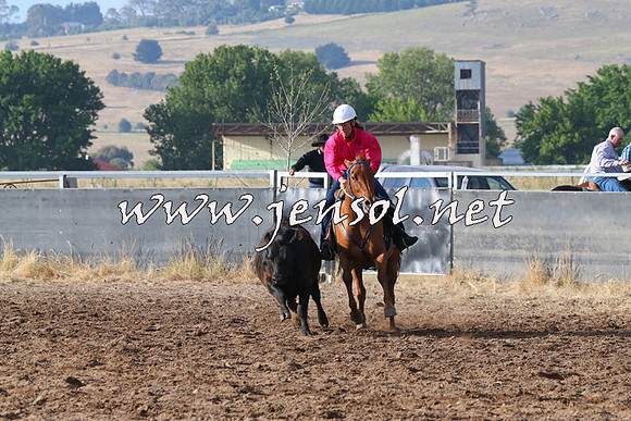 BraidwoodCampdraft2014_2024