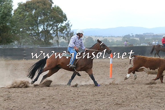 BraidwoodCampdraft2014_2306