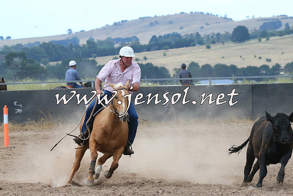 BraidwoodCampdraft2014_2255