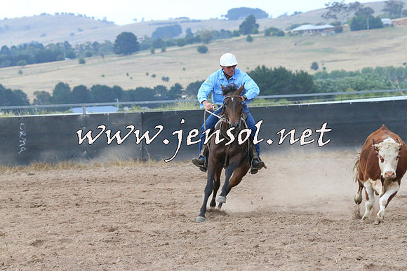 BraidwoodCampdraft2014_2357