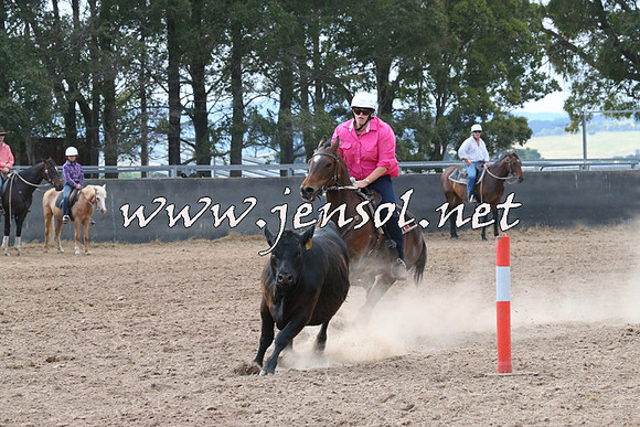 BraidwoodCampdraft2014_2193
