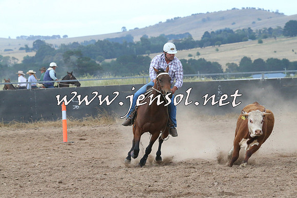 BraidwoodCampdraft2014_2296