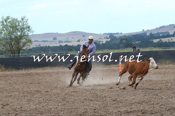 BraidwoodCampdraft2014_2259