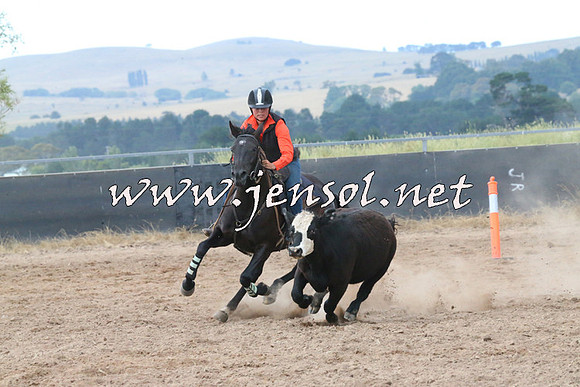 BraidwoodCampdraft2014_2336