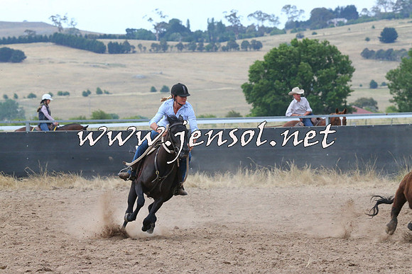 BraidwoodCampdraft2014_2254