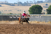 BraidwoodCampdraft2014_2020