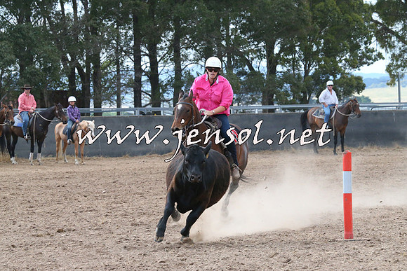 BraidwoodCampdraft2014_2190