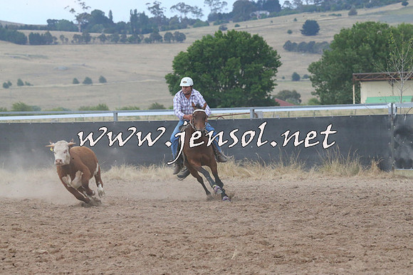 BraidwoodCampdraft2014_2301