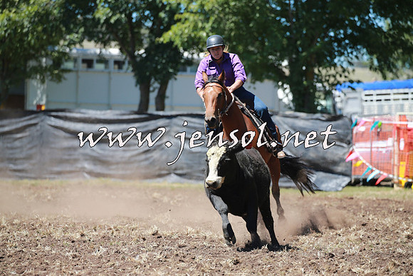 NimmitabelCampdraft2016_0023