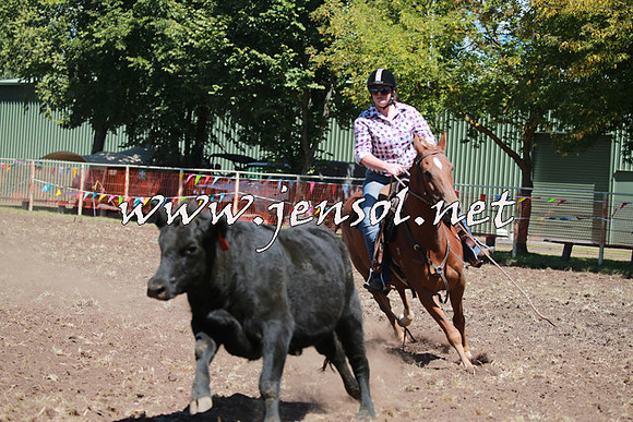 NimmitabelCampdraft2016_0168