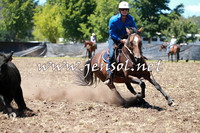 NimmitabelCampdraft2016_0047