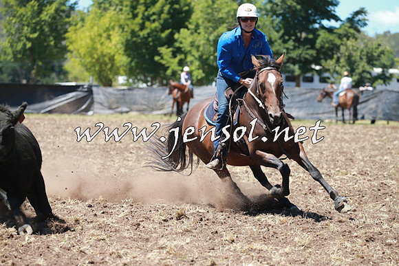 NimmitabelCampdraft2016_0047
