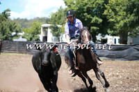 NimmitabelCampdraft2016_0077