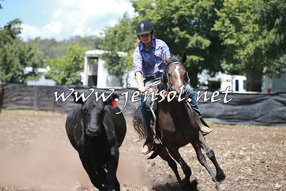 NimmitabelCampdraft2016_0077