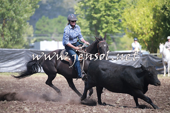 NimmitabelCampdraft2016_0301