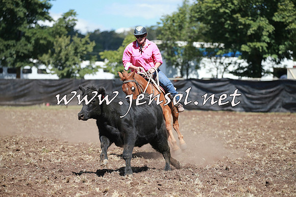 NimmitabelCampdraft2016_0238