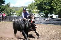 NimmitabelCampdraft2016_0080