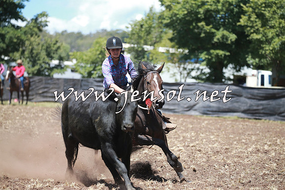 NimmitabelCampdraft2016_0080