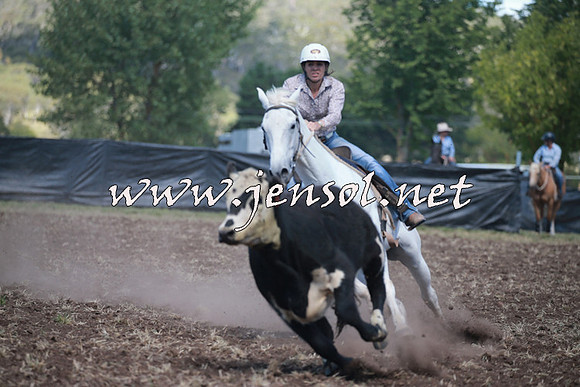 NimmitabelCampdraft2016_0289