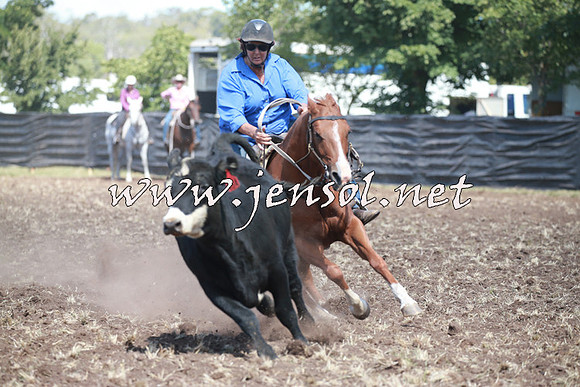 NimmitabelCampdraft2016_0249