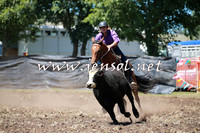 NimmitabelCampdraft2016_0019