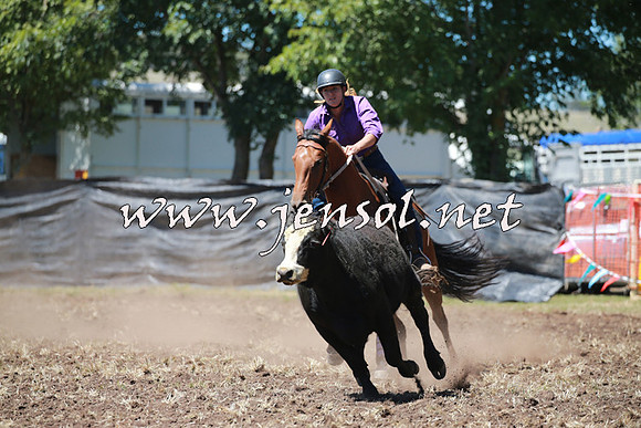 NimmitabelCampdraft2016_0019