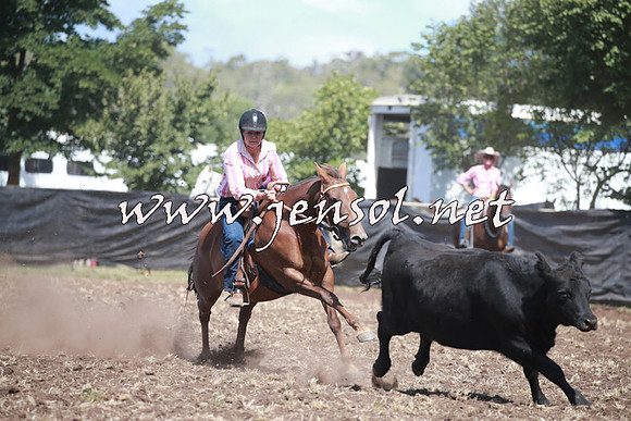 NimmitabelCampdraft2016_0255