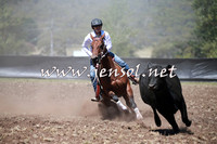 NimmitabelCampdraft2016_0137