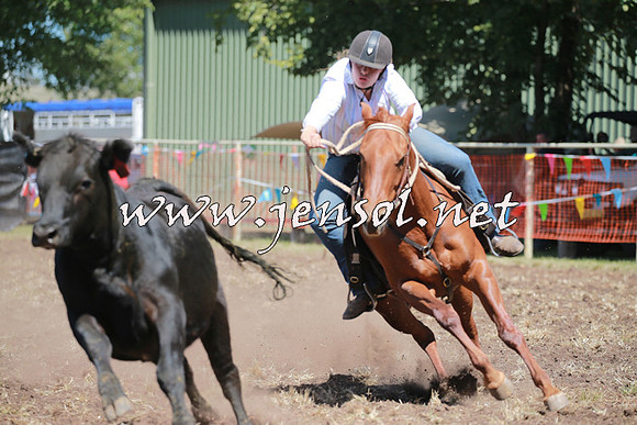 NimmitabelCampdraft2016_0199