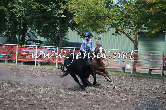 NimmitabelCampdraft2016_0068