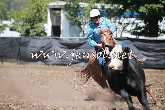 NimmitabelCampdraft2016_0193