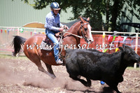 NimmitabelCampdraft2016_0114