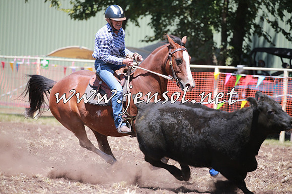 NimmitabelCampdraft2016_0114