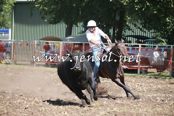 NimmitabelCampdraft2016_0241