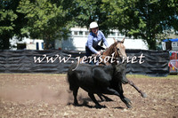 NimmitabelCampdraft2016_0143