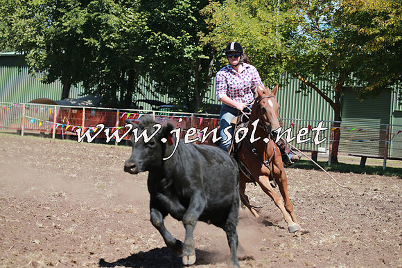 NimmitabelCampdraft2016_0170