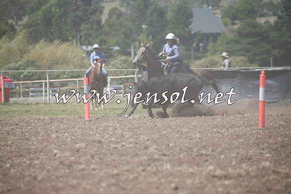 NimmitabelCampdraft2016_0152