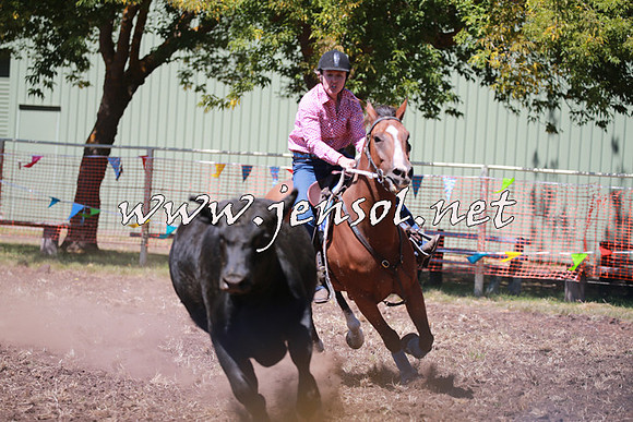 NimmitabelCampdraft2016_0006