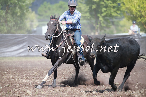 NimmitabelCampdraft2016_0331
